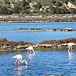 Domaine Du Petit Tournebelle גרואיסאן