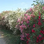 Domaine Du Petit Tournebelle דירה *