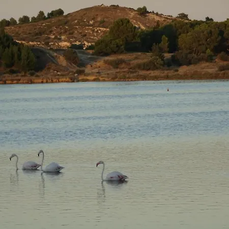 Domaine Du Petit Tournebelle * Gruissan
