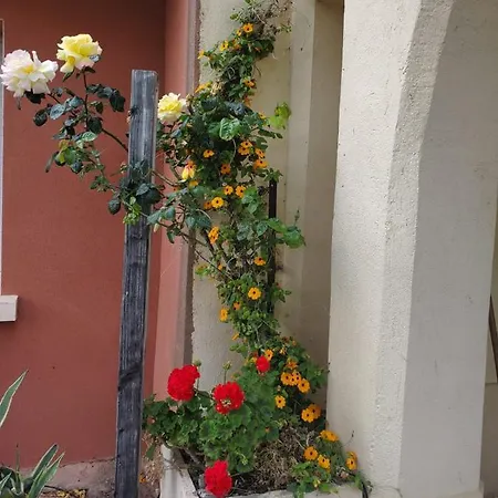 Domaine Du Petit Tournebelle * Gruissan