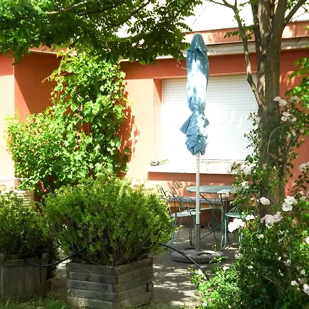 Domaine Du Petit Tournebelle *