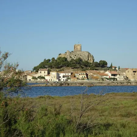 Domaine Du Petit Tournebelle