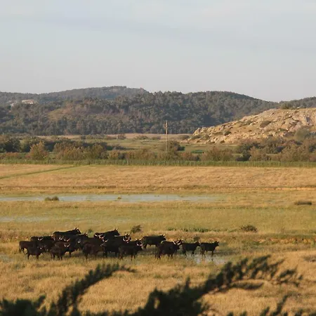 Domaine Du Petit Tournebelle Груиссан