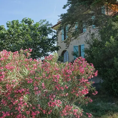 Domaine Du Petit Tournebelle
