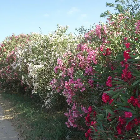 Domaine Du Petit Tournebelle アパート *