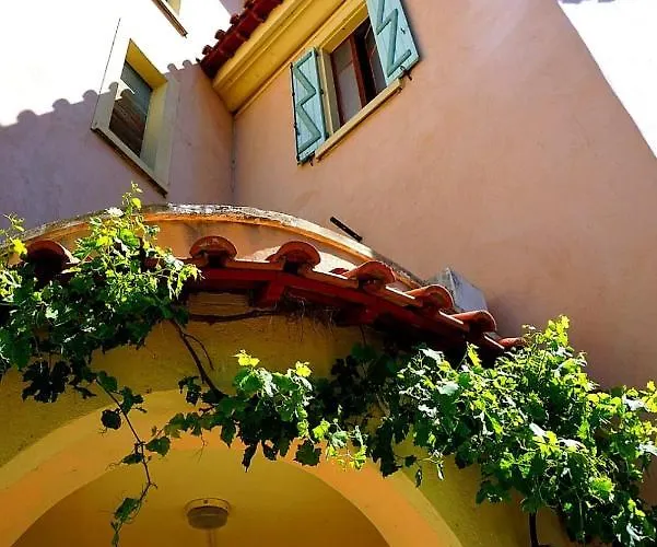 Domaine Du Petit Tournebelle * גרואיסאן