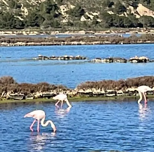 Domaine Du Petit Tournebelle גרואיסאן