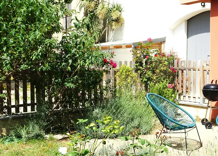 Domaine Du Petit Tournebelle