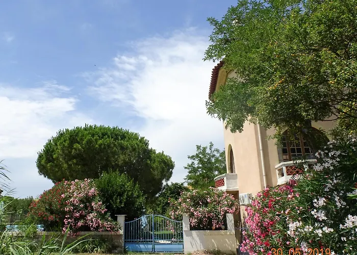 Domaine Du Petit Tournebelle *