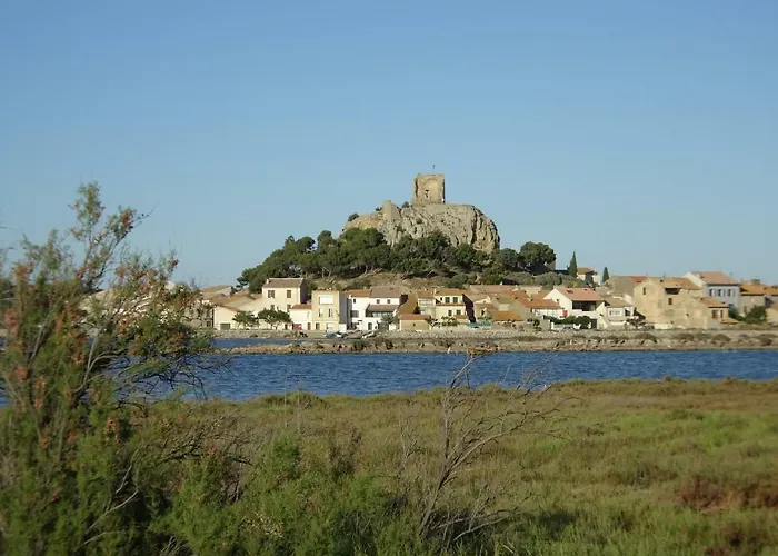 Domaine Du Petit Tournebelle