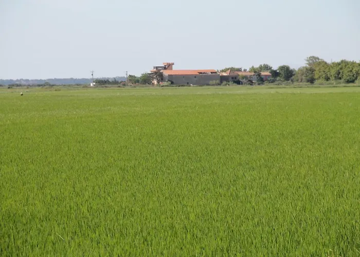 Domaine Du Petit Tournebelle Appartement Gruissan