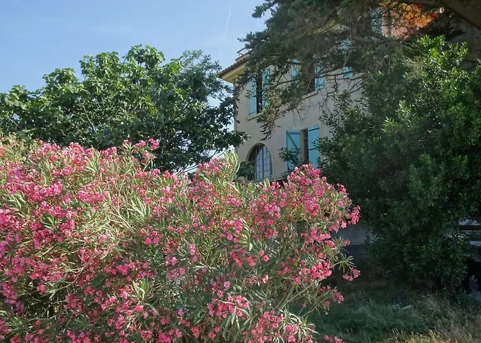 Domaine Du Petit Tournebelle